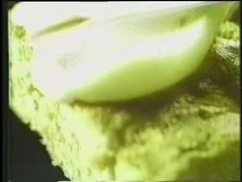 Philly Cream Cheese - 'Start Spreading the News'