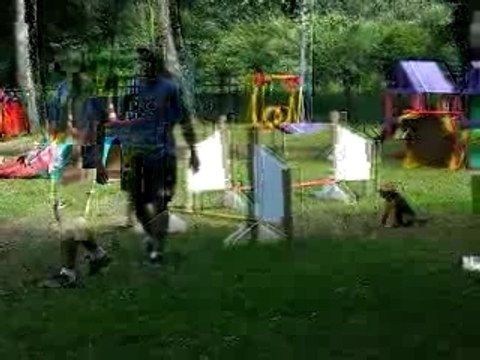 004 Bambou agi juillet 2007