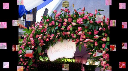 dich vu cuoi hoi tron goi tphcm,dam cuoi theo tone mau hong,cuoi hoi tron goi hcm,dich vu tiec cuoi gia re,cuoi hoi HCM