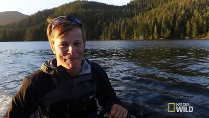 What Happened to This Whale's Tail (Episode 10) - wild_life with bertie gregory