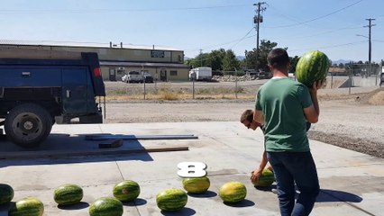 Faire du jus de fruit avec un rouleau compresseur.. Pastèques !