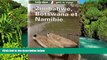 Big Deals  Lonely Planet Zimbabwe, Botswana Et Namibie (Lonely Planet Travel Guides French