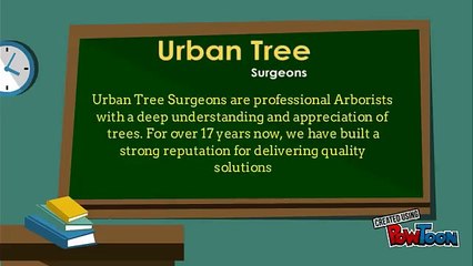 Get Best Arborists in Auckland  at Nominal Price