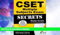 READ  CSET Multiple Subjects Exam Secrets Study Guide: CSET Test Review for the California