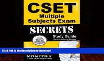 READ  CSET Multiple Subjects Exam Secrets Study Guide: CSET Test Review for the California