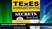 READ BOOK  TExES Pedagogy and Professional Responsibilities EC-12 (160) Secrets Study Guide: