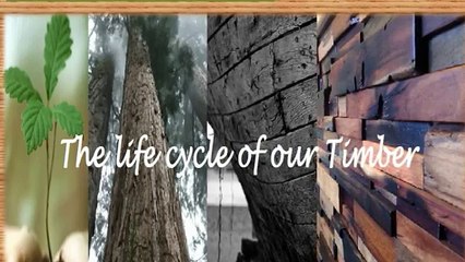 Reclaimed Timber Wall Tiles