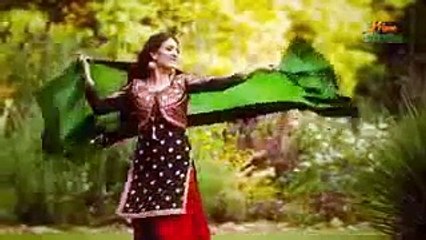 Main Hun Geetan Nu | New Punjabi Song