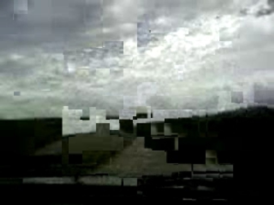 Chasse au goeland en BMW 325 is