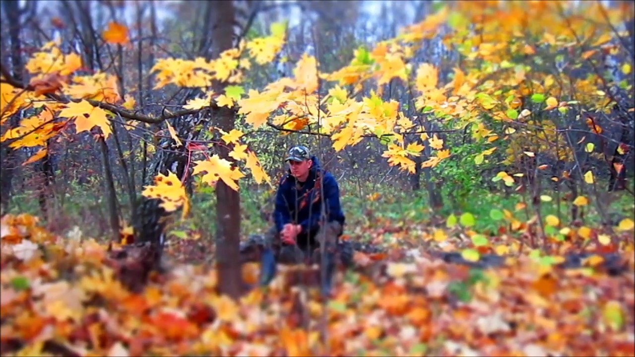 035 - Володарка (09.10.2016) (fdvfilm1981)
