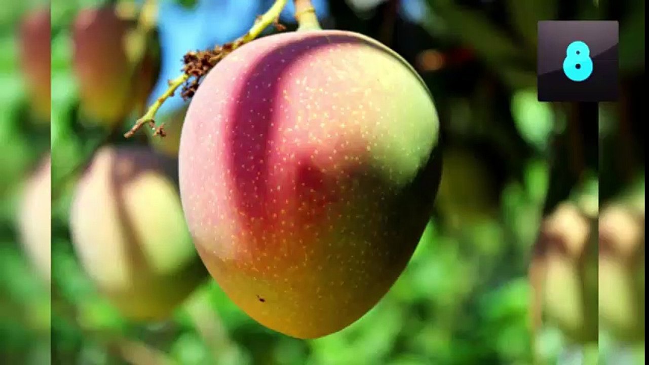 Top 10 Most Expensive Foods in the World