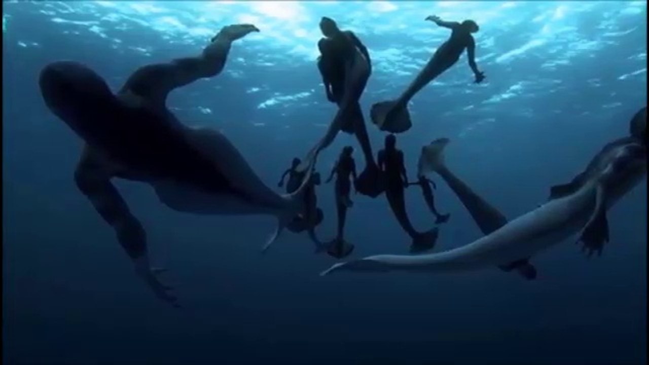 Real Mermaid Found - Here is a Proof of Mermaid Exist