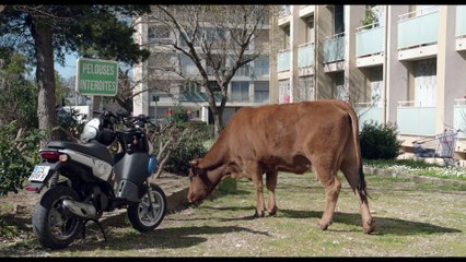 The Cow / La Vache (2016) - Trailer (English Subs)