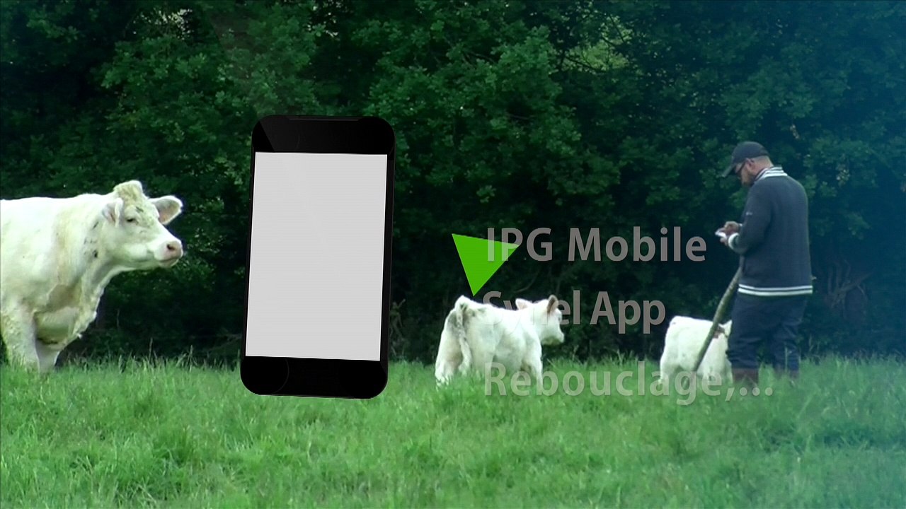 GENERIQUE TEASER
