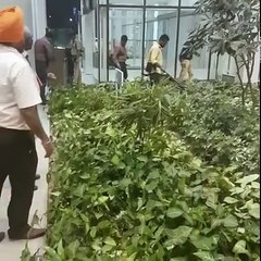 Security Agencies Searching Mohali International Airport After Anonymous Bomb Call