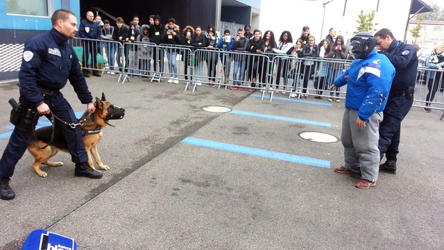 Démonstration de la brigade canine de Mulhouse lors d'une interpellation