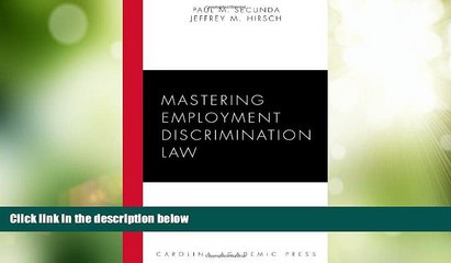 Big Deals  Mastering Employment Discrimination Law (Carolina Academic Press Mastering Series)