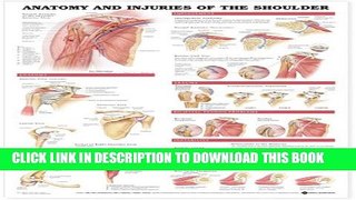 [PDF] Anatomy and Injuries of the Shoulder Anatomical Chart Full Online