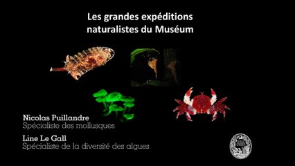 Les grandes expéditions du Muséum