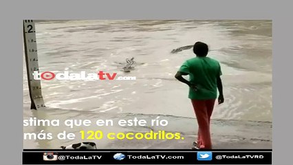 Una mujer que ahuyentó a un cocodrilo de 4 metros con un solo golpe de chancleta-Video