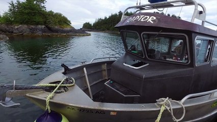 Saltwater Salmon Fishing at Talon Lodge