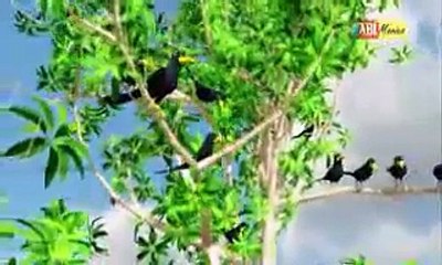 Islamic First Month Muharram