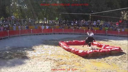 POULX-Toro Piscine-2016/07/03-VC-Taureaux