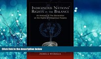 Big Deals  Indigenous Nations  Rights in the Balance: An Analysis of the Declaration on the Rights