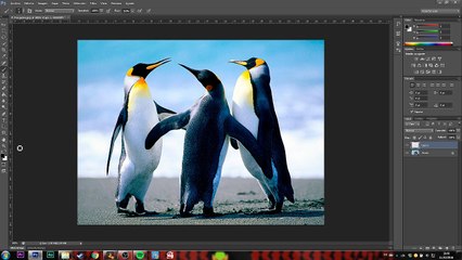 Day 1. Learning digital drawing. First try
