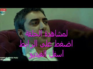 مسلسل وادي الذئاب الجزء الحادي عشر الحلقة 5 كاملة