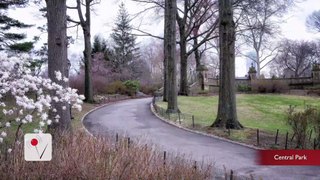 Woman Robbed and Assaulted in Central Park