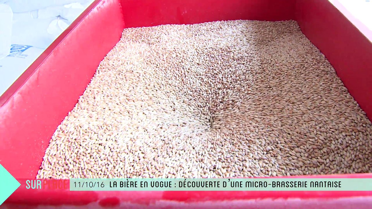 Sur Place à la Brasserie (2/3) : micro-brasserie et atelier