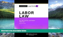 Big Deals  Casenotes Legal Briefs: Labor Law Keyed to Cox, Bok, Gorman   Finkin, 15th Edition