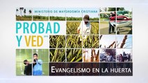 Probad y Ved - 15 de Octubre 2016 (Evangelismo en la Huerta) Iglesia Adventista Adventista