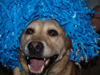 Casey Neistat YouTube President Challenge