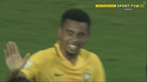 Gabriel Jesus Goal after Dani Hernandez (Goalkeeper) Funny Mistake - Venezuela 0-1 Brazil 11.10.2016 HD