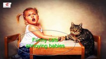 Funny cats annoying babies - Cute cat & baby Vietnam