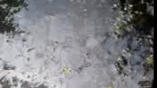 MOV00019