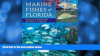 For you Marine Fishes of Florida