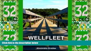 Big Deals  Wellfleet, An Insider s Guide to Cape Cod s Trendiest Town  Best Seller Books Most Wanted
