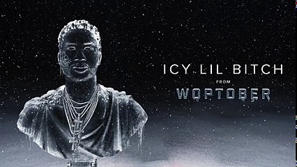 Gucci Mane - Icy Lil Bitch [Official Audio]