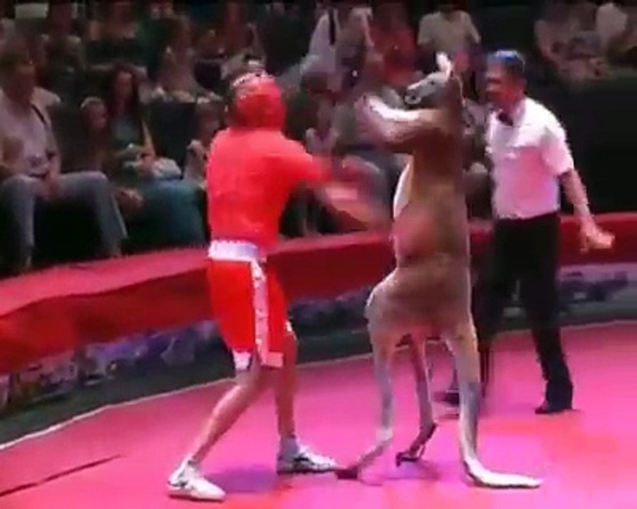 Fight