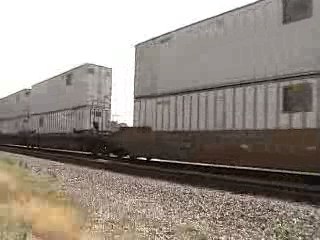 NS #213 with a SICK HORN!!!!!!!!!!!!!!!!!!!!!!!!!!!!!!!!!!!!