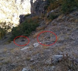 Çukurca'da 2 Teröristin Cesedi Bulundu