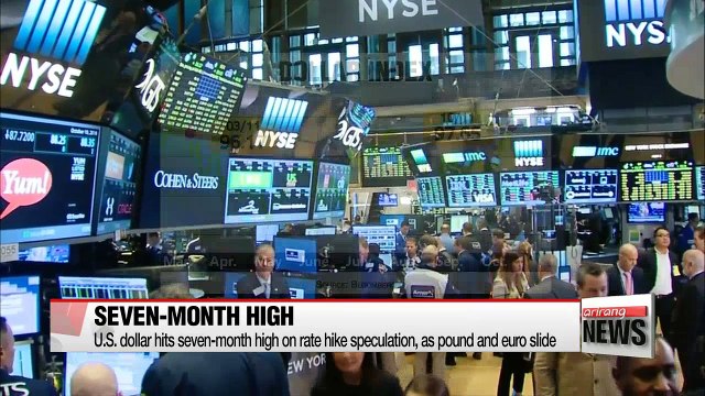 U.S. dollar hits seven-month high on rate hike speculation