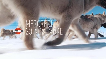 L’appel de la banquise - Mercredi 23 novembre à 20h55 sur PLANÈTE+