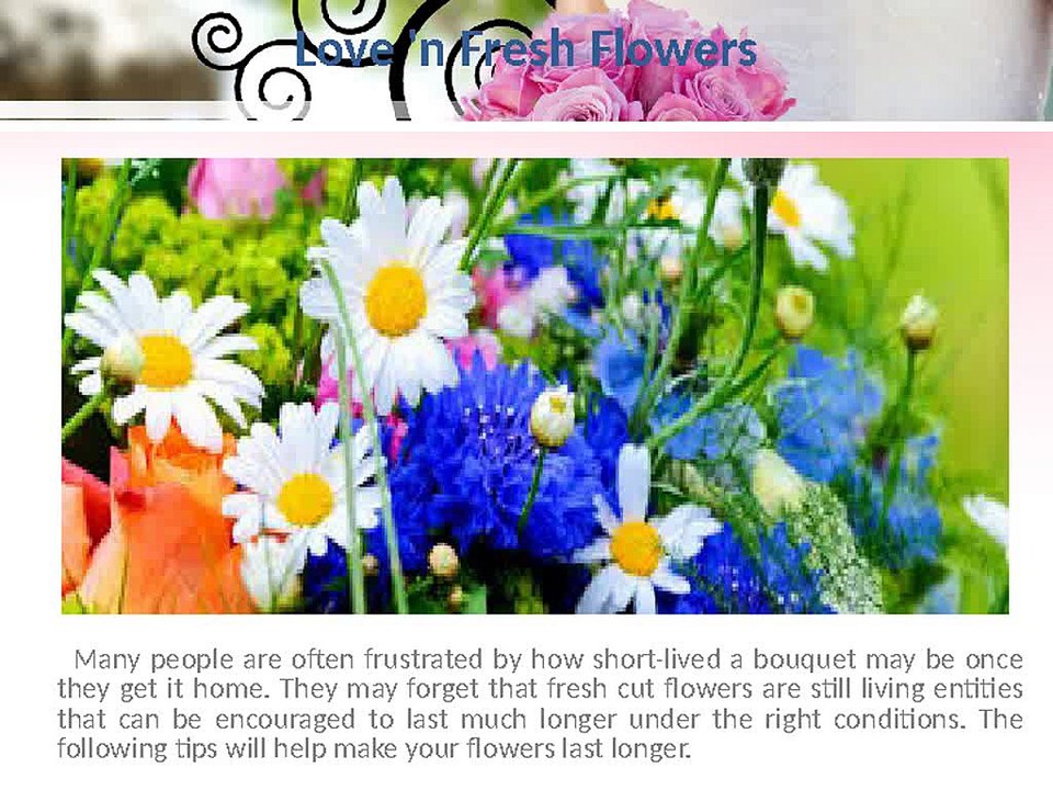 Caroline Plouff | Flower Care Instructions