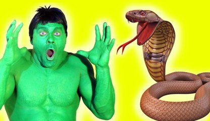Hulk & Lady Hulk SNAKE ATTACK! w- Spiderman Frozen Elsa Black Spiderman Pinkspidergirl