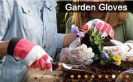 Safeway Gardening Gloves, Lady Gardener Gloves Manufacturers