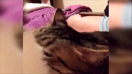 Je peux te sentir le fion?! Aller!